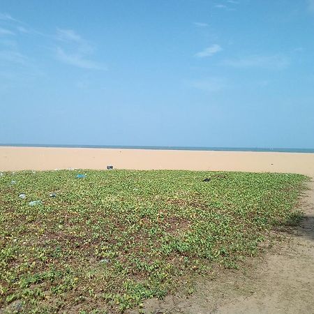 Yoho Mango House Hotel Negombo Bagian luar foto